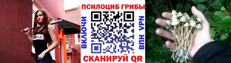 Галлюциногенные грибы мухоморы Купить закладки Бабушкин